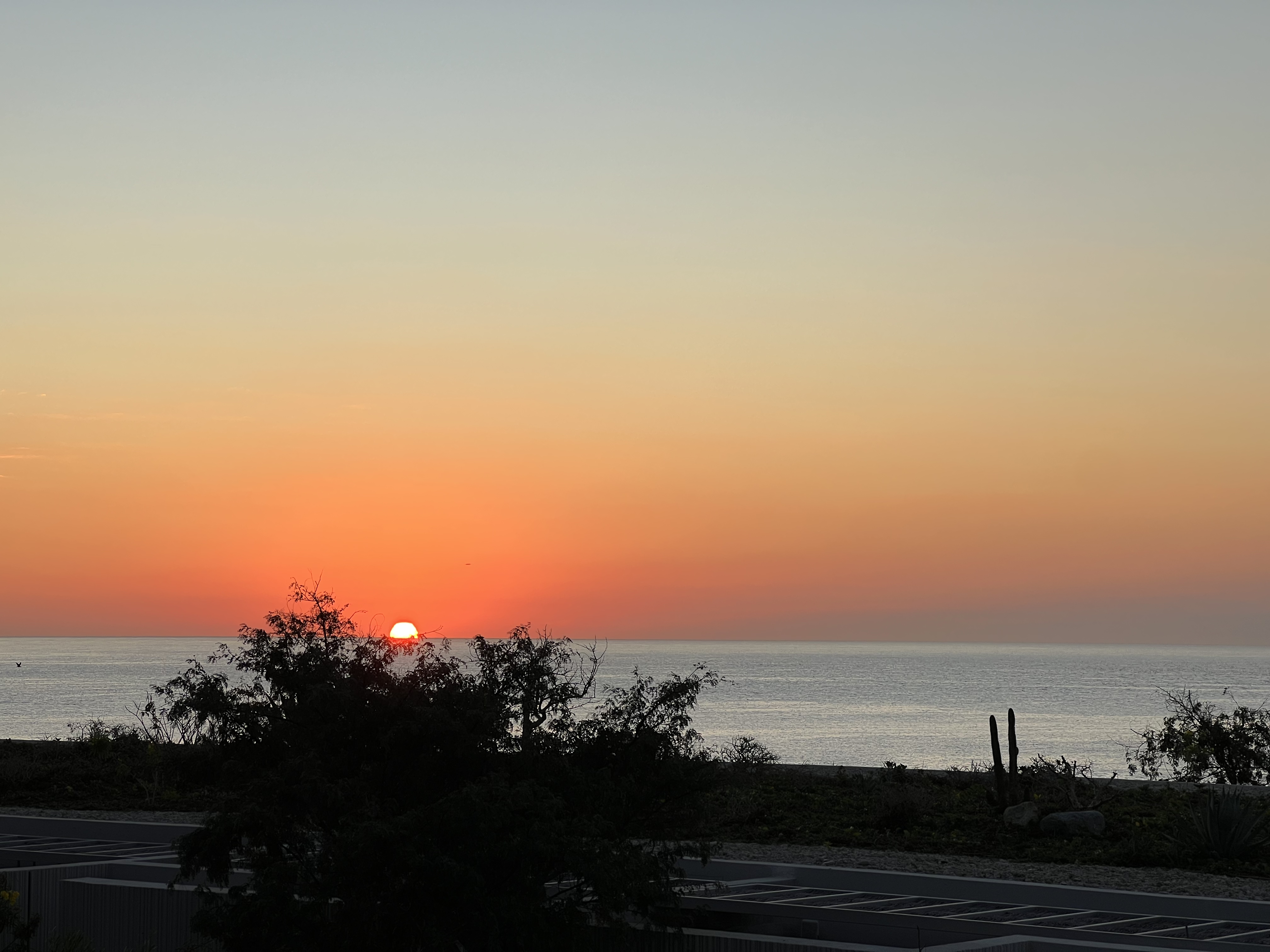 ./2024/13 - Cabo/IMG_4932.jpg